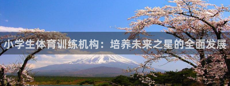 富联平台q665.786：小学生体育训练机构：培养未