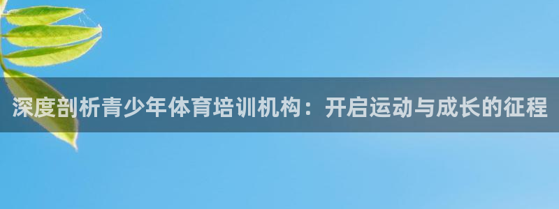 富联娱乐测速地址：深度剖析青少年体育培训机构：开启运